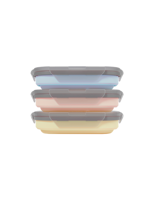 Collapsible Lunch Box (3-pack)